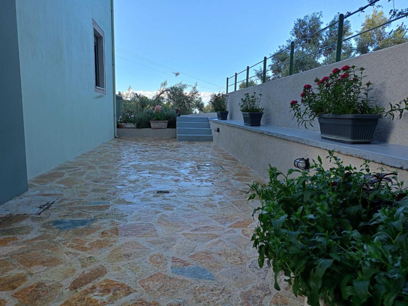 Armonia Villa Lefkada Kariótai Exterior foto